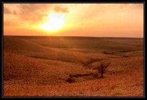 Lone Tree and the Flint Hills