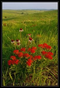 Skyline Road, Wabaunsee County