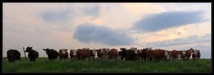 Skyline Road, Wabaunsee County