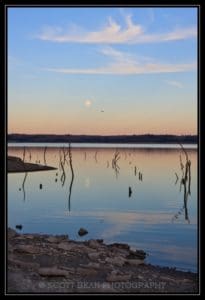 Over the Cove